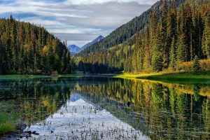 Nature 2 Nature 2